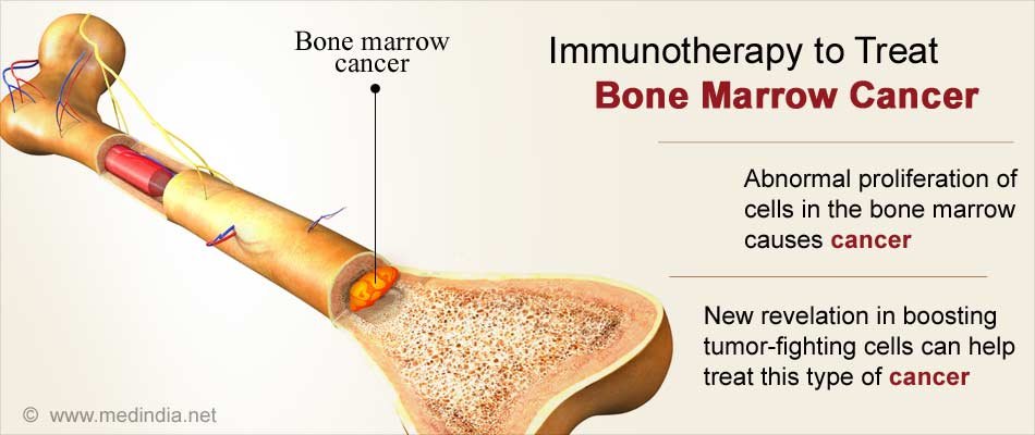 Bone marrow