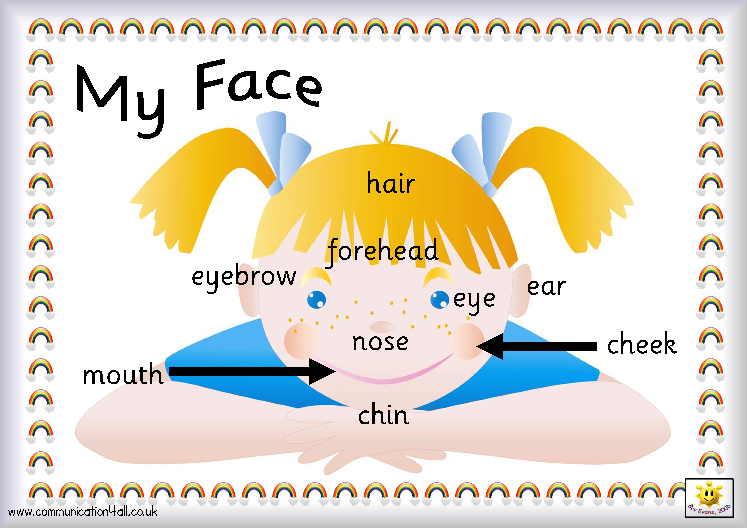 My eyes my ears. Face Parts. My face. Face in English for Kids. My face картинка.