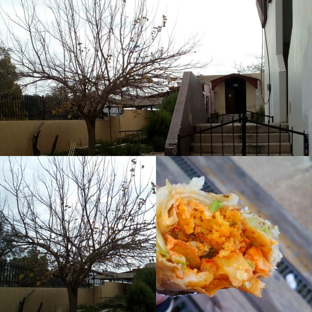 IMG_٢٠١٨٠١٢٧_١٩٠٤٥٥.jpg