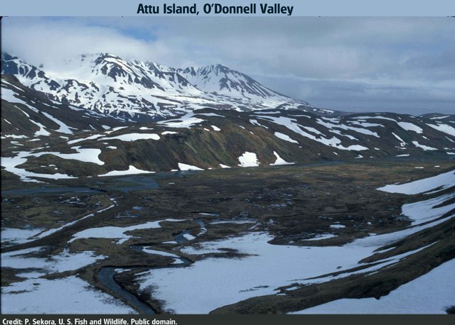 Attu island4 o Donnell_valley  Sekora, U.S. Fish and Wildlife Service.jpg