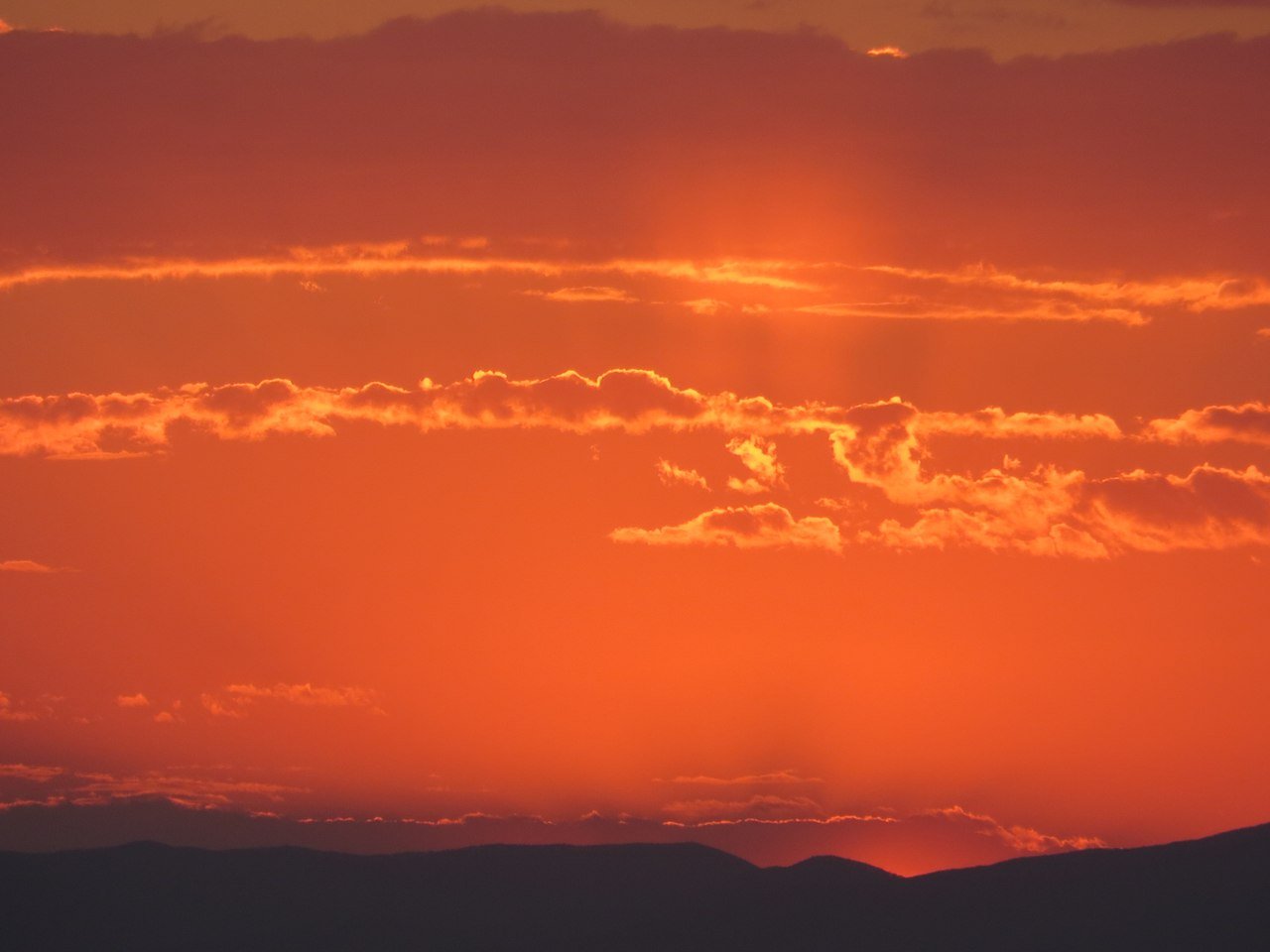 Orange sunset andy. Оранжевый закат мияги. Закат оранж. Закат янтарно оранжевый. Закат в оранжевых тонах дорога.