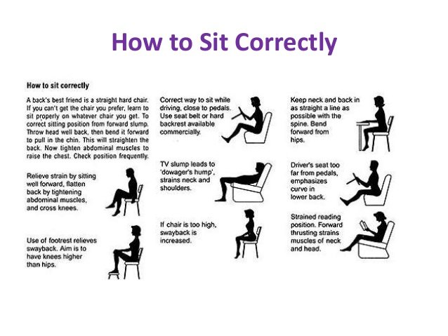 Well back перевод. Sit forward. How to read. Sit and Bend forward см. Sitting перевод.