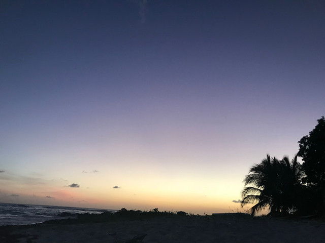 sunset.jpeg
