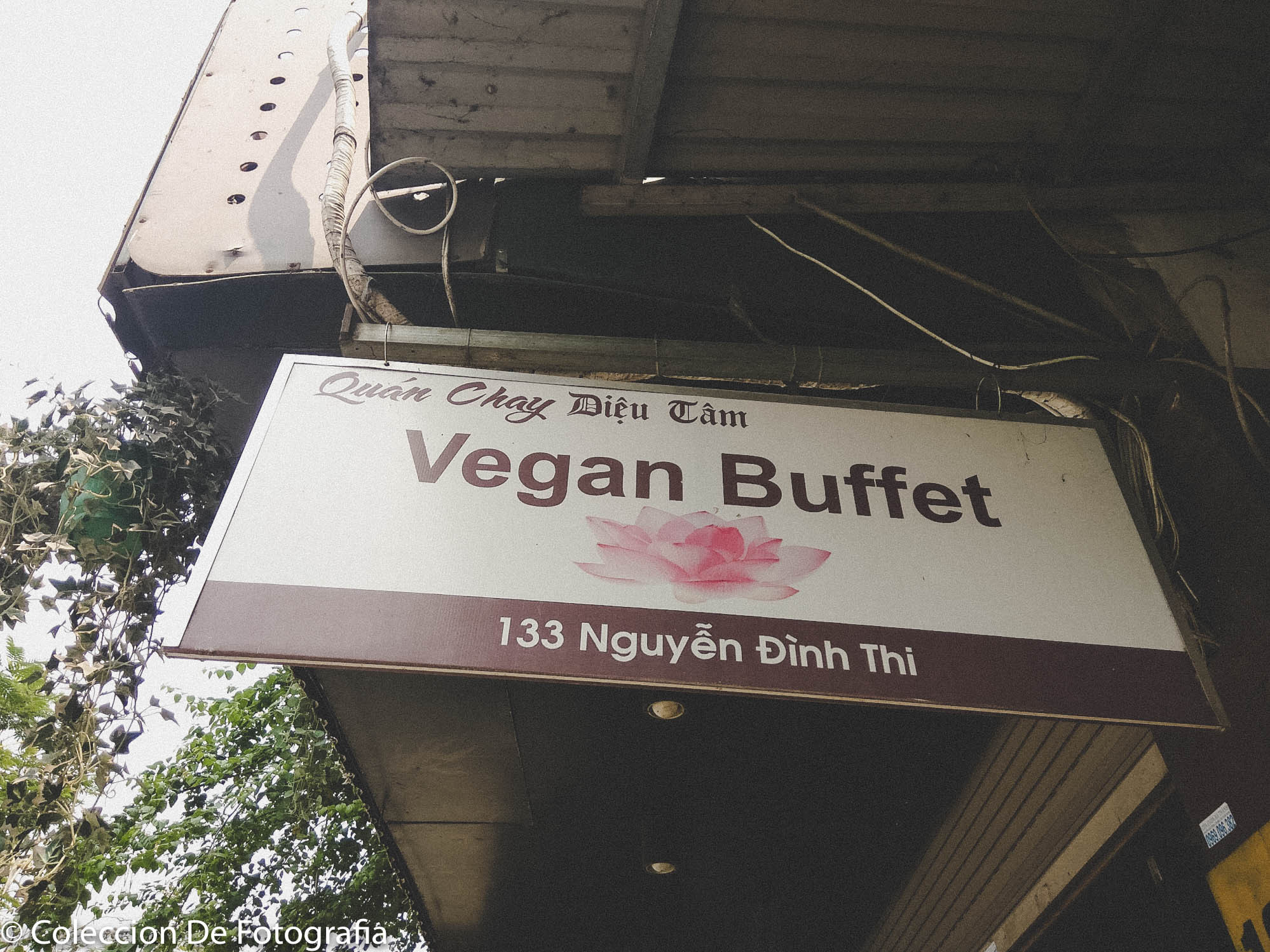 Veggie1.jpg
