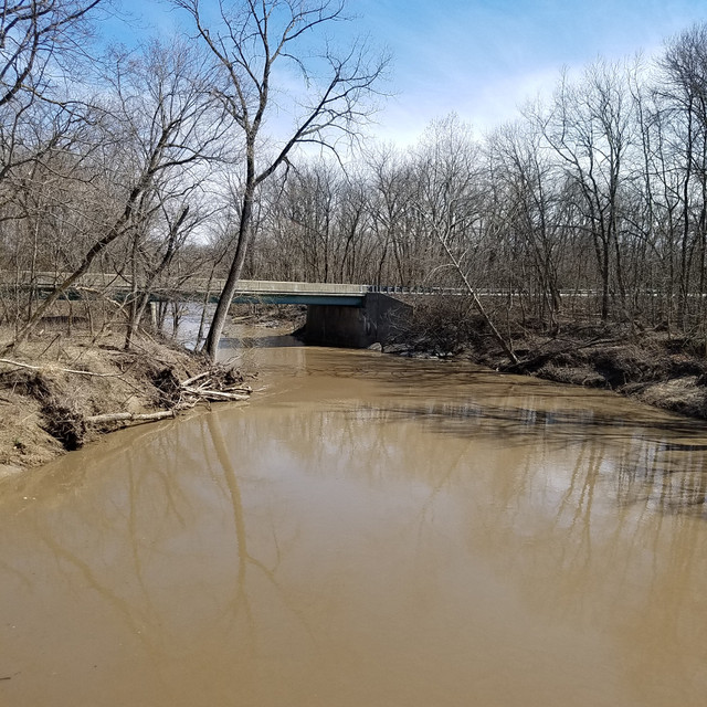 View down the creek to the left