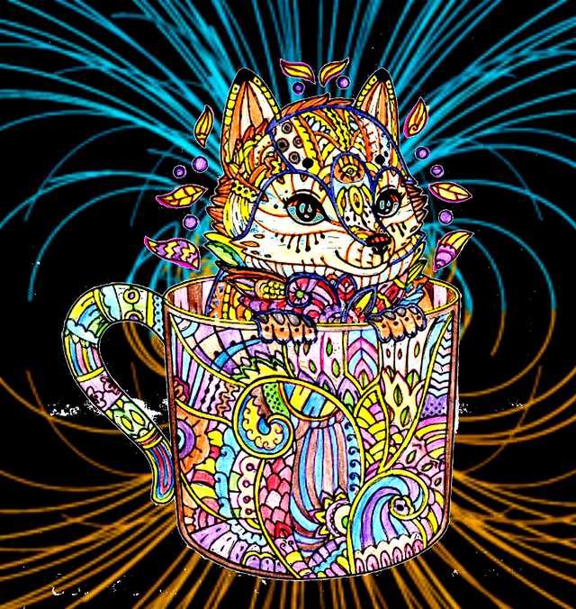 zorrito.png
