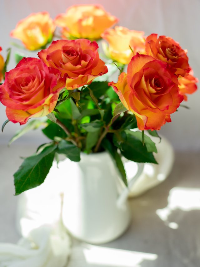 flowers.jpg