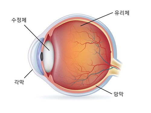 eyeball.jpg