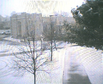 snow004.jpg