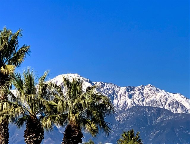 MtBaldy.jpg