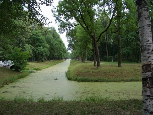 IMG_925.jpg