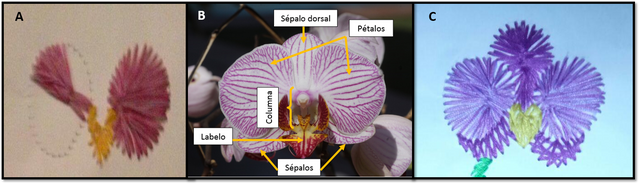 Imagen4.png