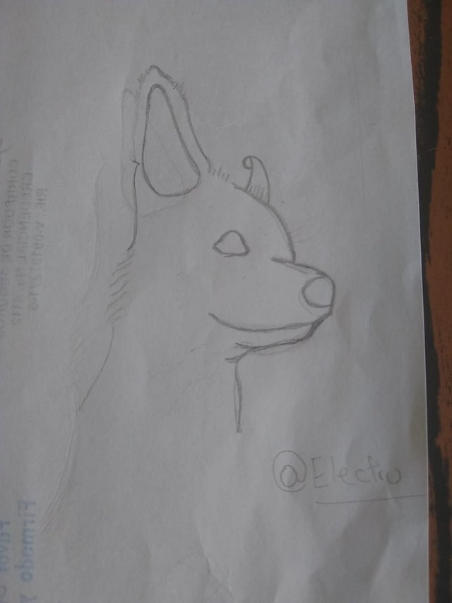 Dog 1.jpg