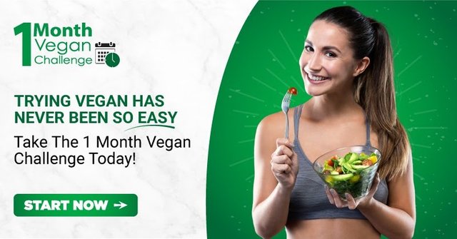 try vegan challege 28 day