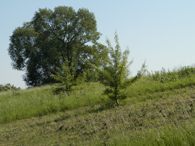 Priroda.JPG