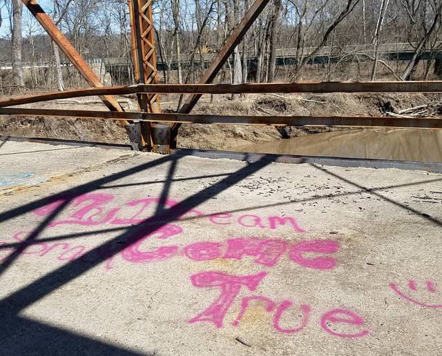 Pink graffiti 'My dream come true'