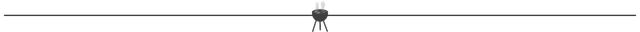grillen.png