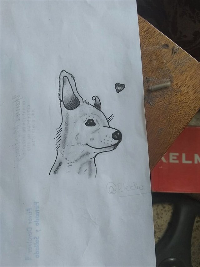 Dog 4.jpg