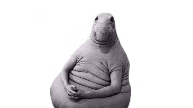 waiting.jpg