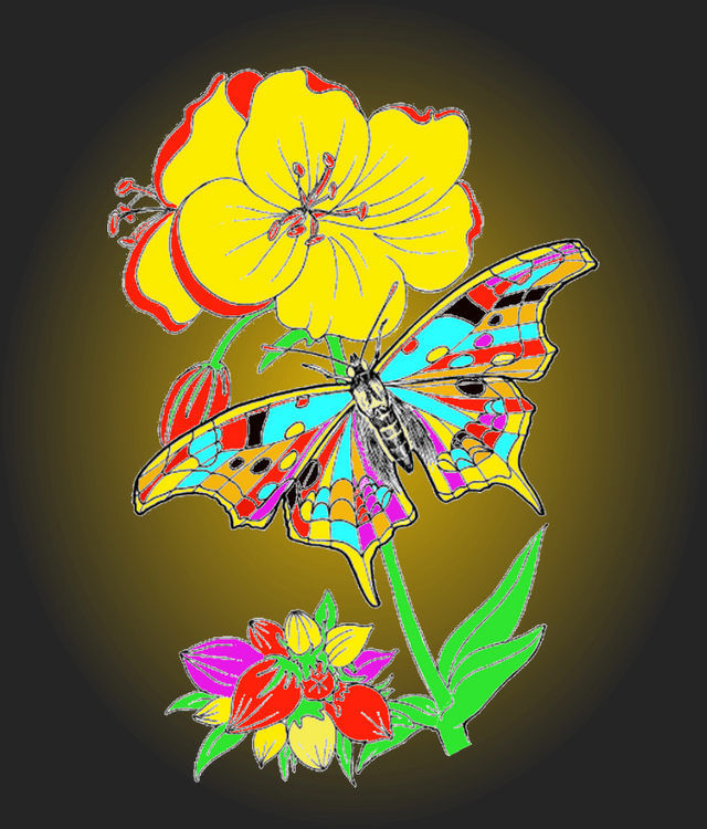 image18.png