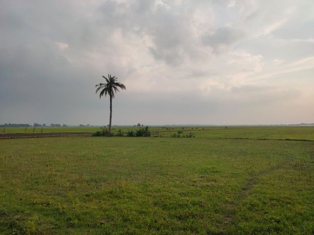 village.jpg