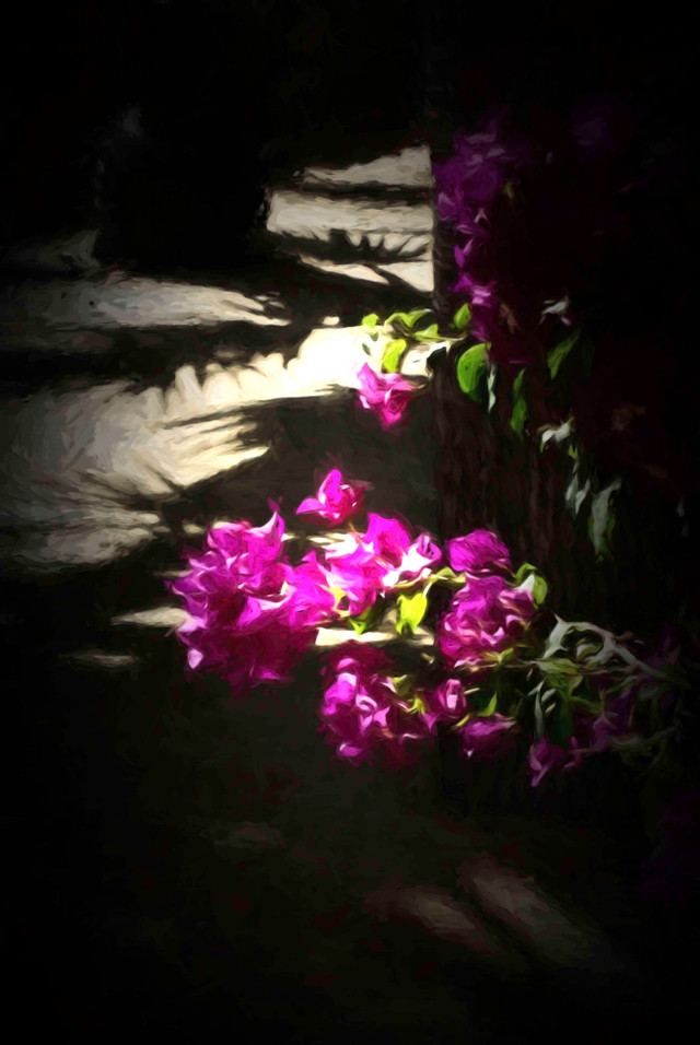 flowers.jpg