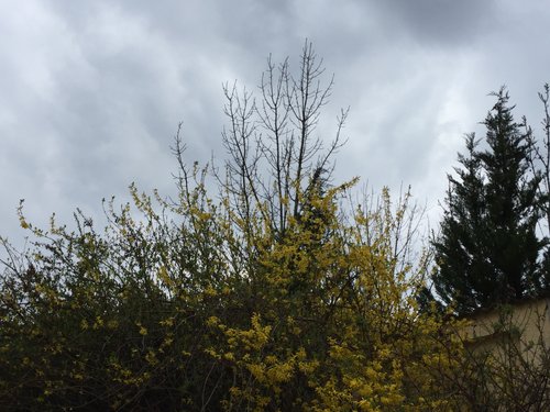 Kein Bild