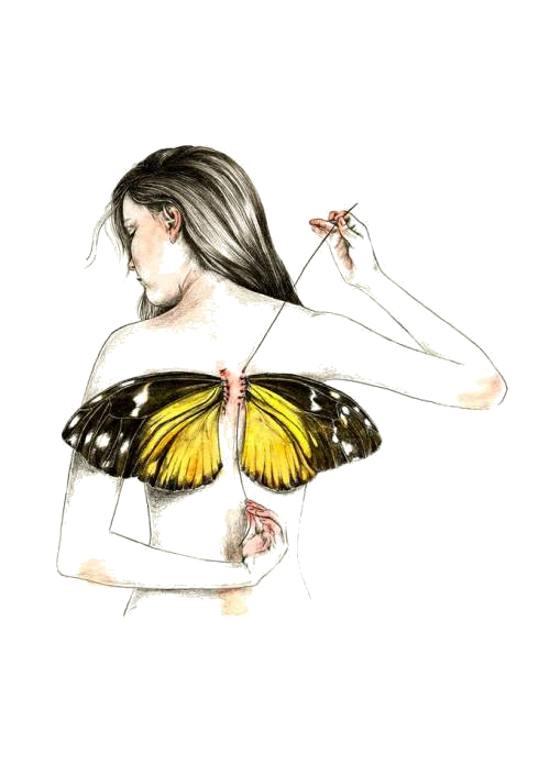 Imagen3.png