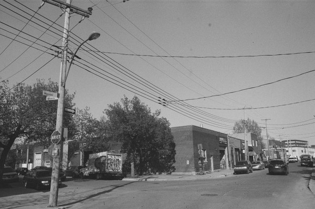 0954-08.jpg