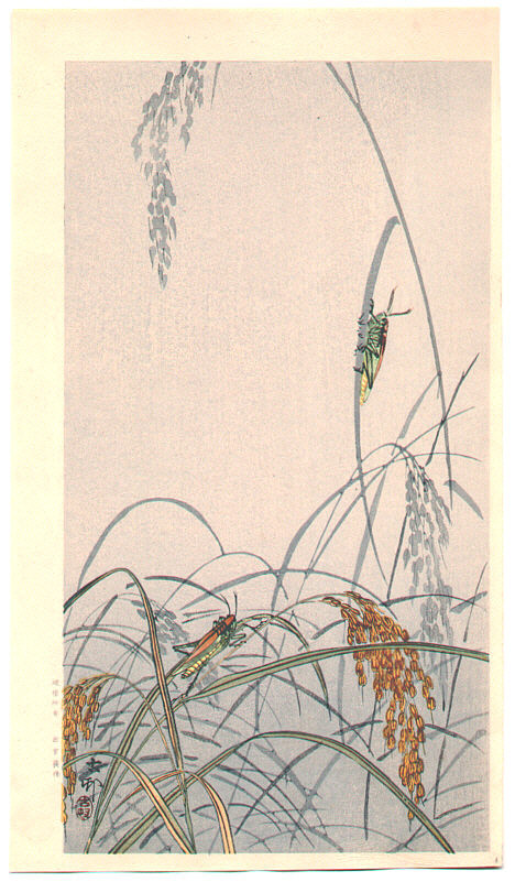 Skill of Insects【Haiku of Japan #6】 — Steemit