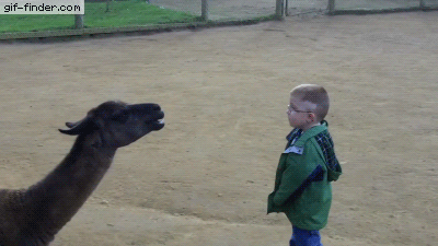 4i88GgaV8qiGEDoD91gmJTzwqtSMtQphByoDaAXVhW9DDduLc935zdKHdJ2woSbFBAQPry8rWSySbALJDcVcSqmS3u9FUhKR5mzZpJ2v8fGyG5zenG48PW1BYh