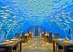 30-Stunning-Secret-Places-Most-Tourists-Don’t-Know-About-ithaa-underwater-restaurant-300x214.jpg