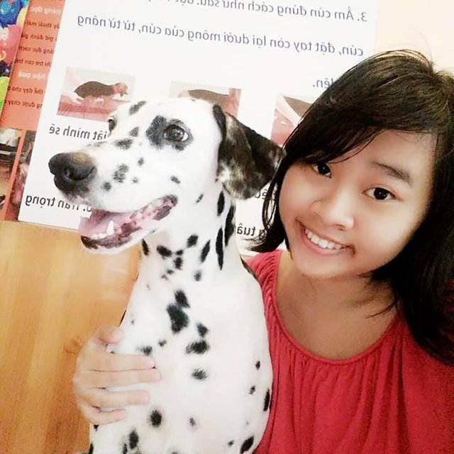 Anna Dog 37324672_499269143876476_5423010876854632448_n.jpg