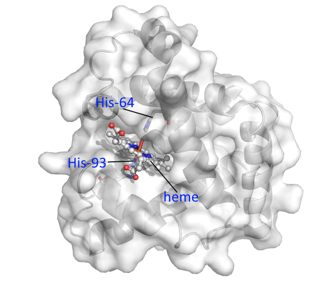 "Identify the molecule" contest. Upgrade (the league, additional ...
