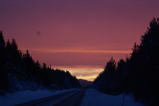 !!!!DSC06829 (2).JPG