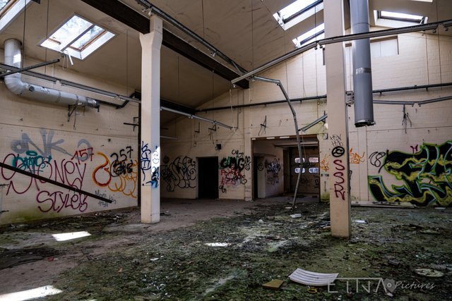 Wald-Krankenhaus-2.jpg