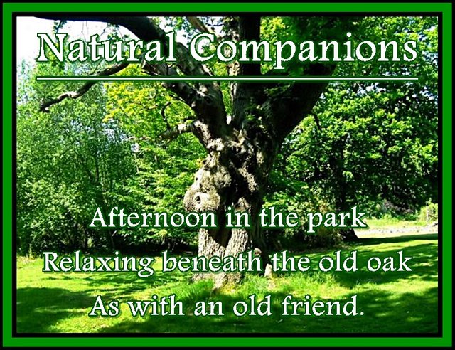 natural_companions.jpg