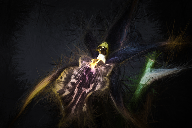 DSC_6630-2-Chia-WE.png