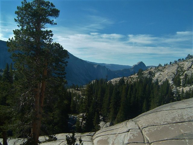 half dome rock.JPG