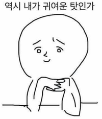 캡처.PNG