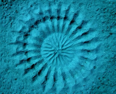 fish art small.jpg