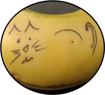 Purrency 366x330.png