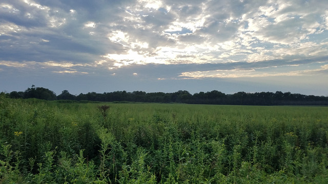 20170818_185807_40.jpg