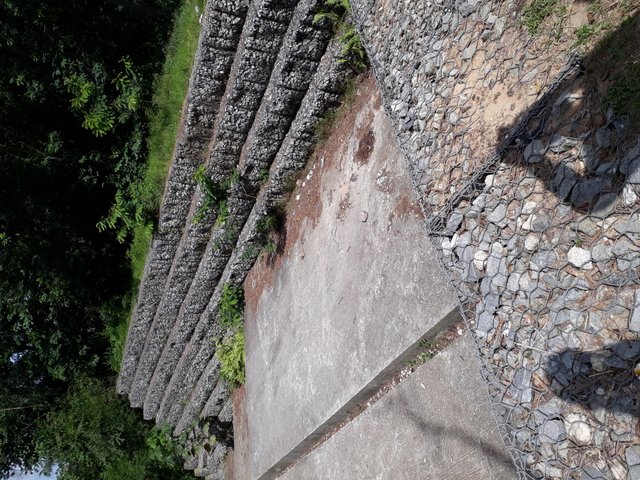 20180521_145526(0).jpg