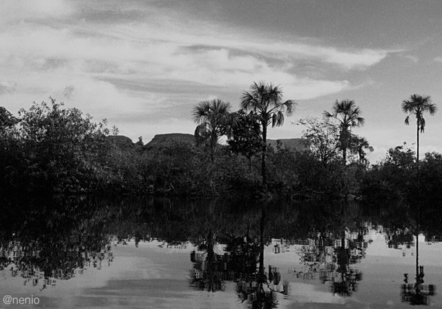 reflections-carrao.jpg
