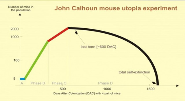 Universe 25 - How Mice Turned Their Utopia Into A Terrifying Dystopia ...