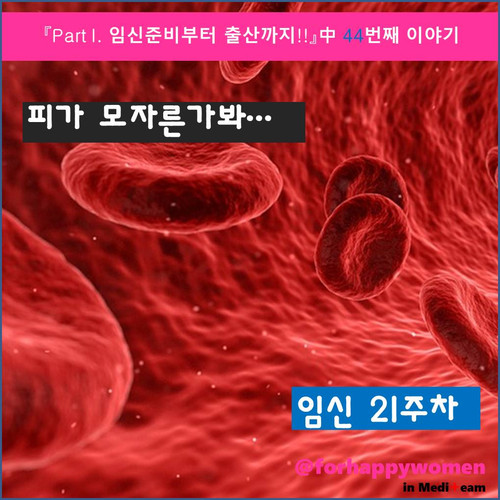 메인.jpg