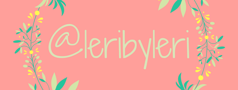 firma leribyleri.png