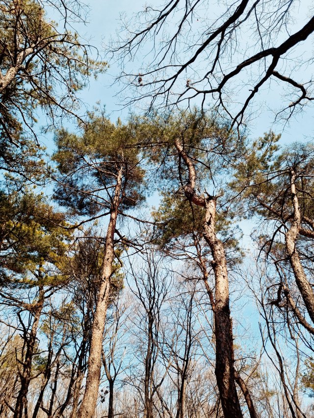 20210227_115301_12.jpg