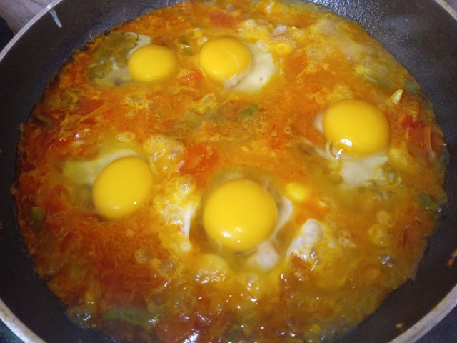 20220130_125400263.jpg